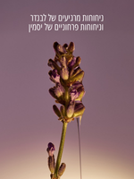 סבון ידיים נוזלי חמאת שיאה בניחוח לבנדר בבקבוק זכוכית
