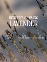 ג'ל רחצה לבנדר