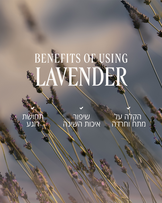 ג'ל רחצה לבנדר