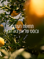 קרם ידיים מבושם וורבנה הדרים (אריזת נסיעה)