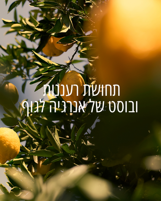 ג'ל רחצה וורבנה הדרים (אריזת מילוי)
