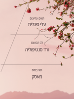 בושם או דה טואלט ורדים TO-GO