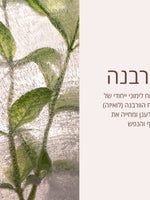 מוצרי טיפוח פנים ל'אוקסיטן
