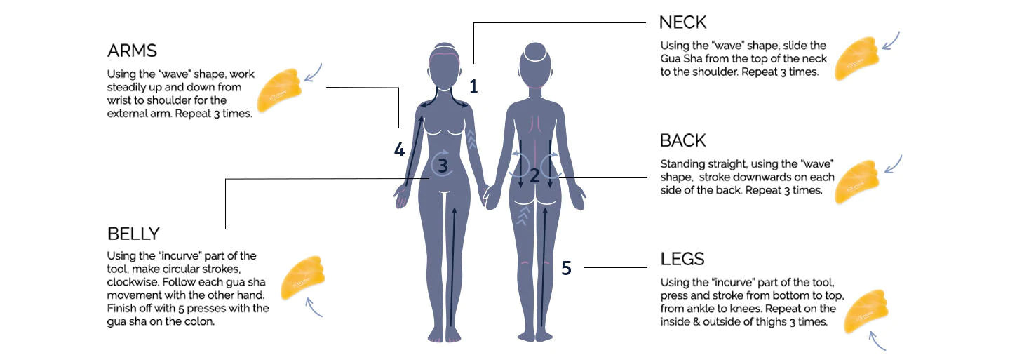 טיפוח גוף מבית ל'אוקסיטן – ג'לים וקרמים