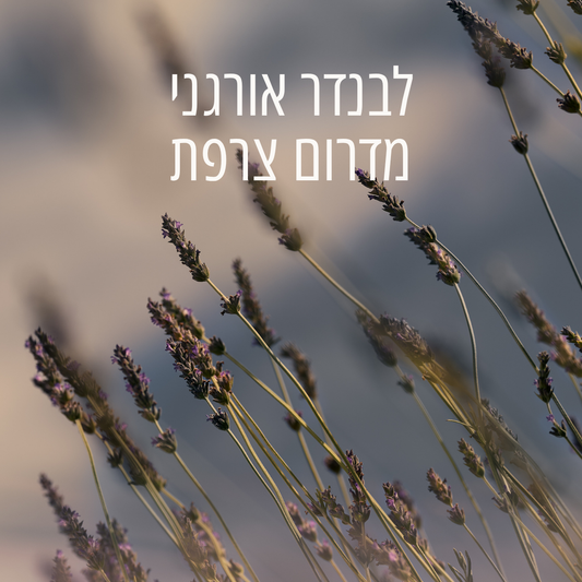 קרם ידיים מרגיע לבנדר (אריזת נסיעה)