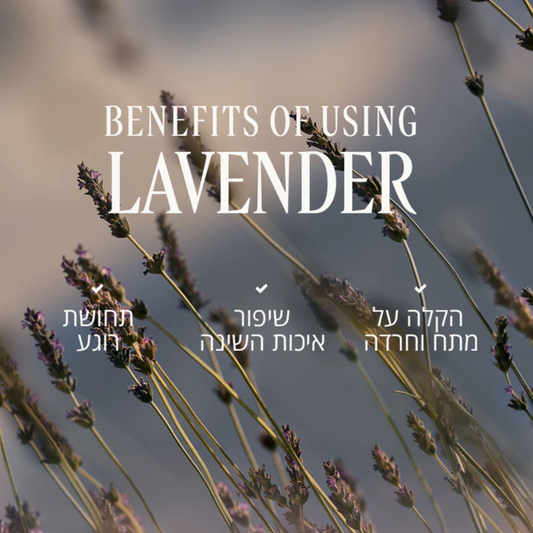 מארז מתנה בניחוח לבנדר מרגיע