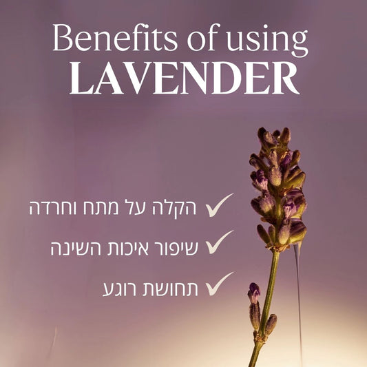 מוצרי טיפוח פנים ל'אוקסיטן