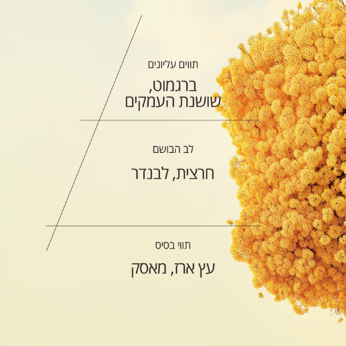 בושם או דה פרפיום חרצית זהובה