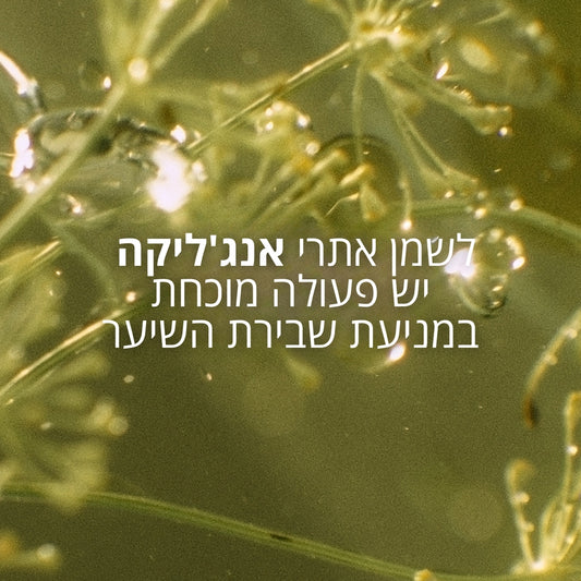 מוצרי טיפוח שיער ל'אוקסיטן – חיזוק והזנה