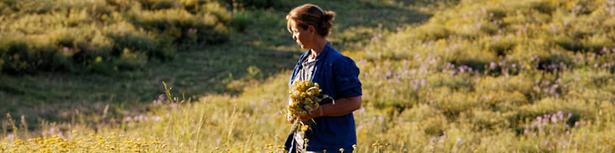 מוצרי טיפוח ל'אוקסיטן