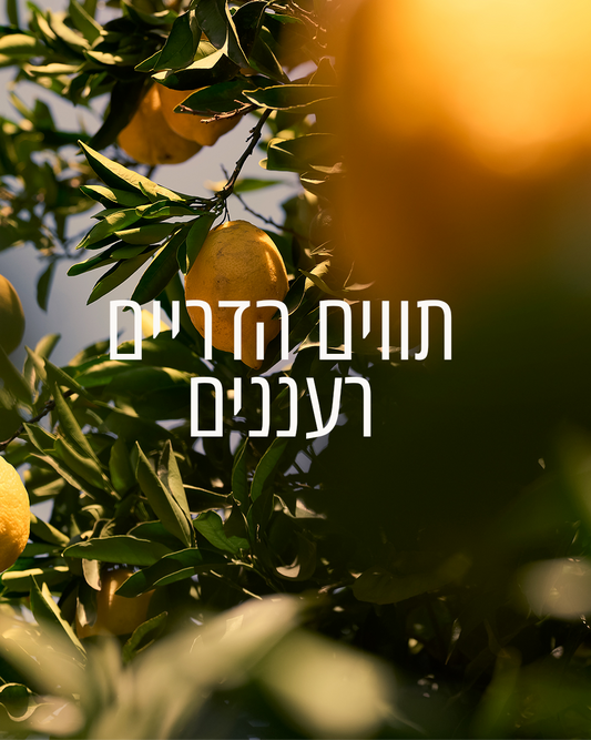 ג'ל רחצה מבושם וורבנה הדרים