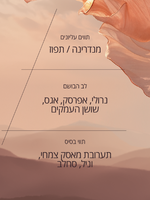 בושם או דה טואלט נרולי סחלב TO-GO