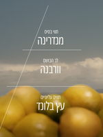 תחליב גוף מבושם וורבנה הדרים