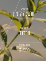 בושם או דה טואלט וורבנה