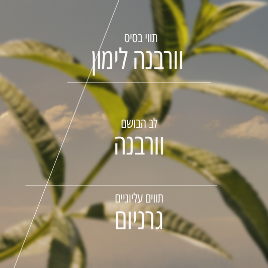בושם או דה טואלט וורבנה