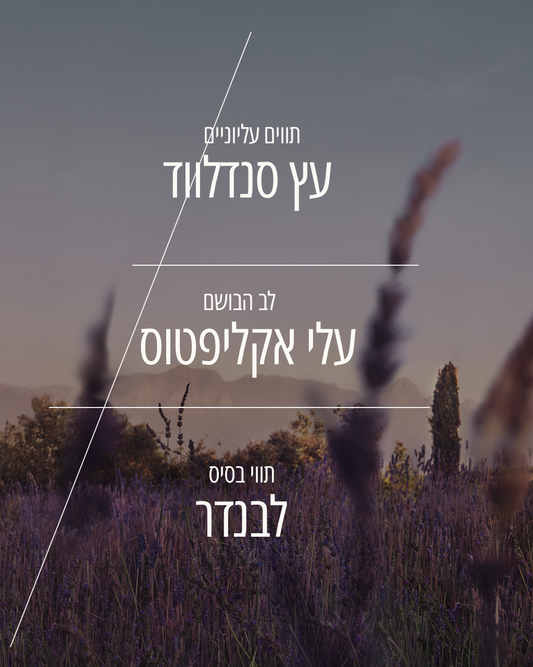 בושם או דה טואלט לבנדר