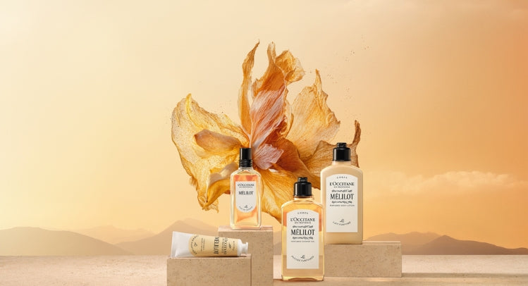 תלתן מתוק Mélilot