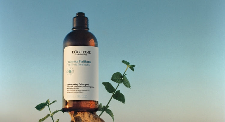 רענון & טיהור Purifying Freshness