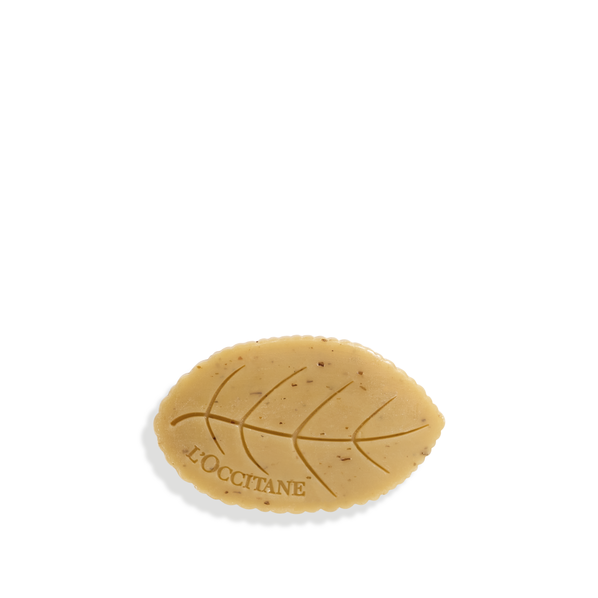 סבון מוצק וורבנה