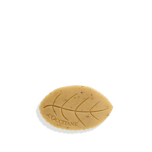 סבון מוצק וורבנה