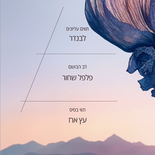 בשמי גבר ל'אוקסיטן – ניחוחות קלאסיים וחדשים