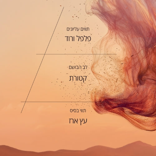 בשמי גבר ל'אוקסיטן – ניחוחות קלאסיים וחדשים
