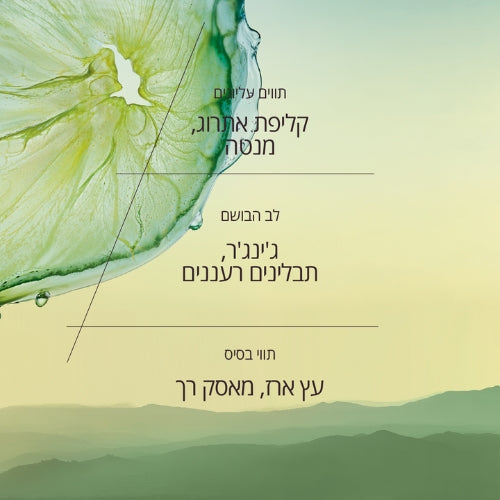מוצרי טיפוח לגבר ל'אוקסיטן – קרמים ובשמים