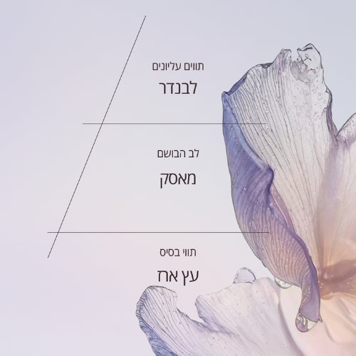 מוצרי טיפוח לגבר ל'אוקסיטן – קרמים ובשמים