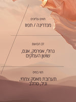 מוצרי טיפוח לגבר ל'אוקסיטן – קרמים ובשמים