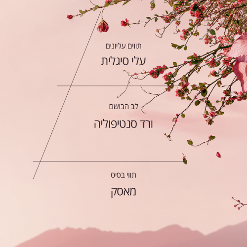 בושם או דה טואלט ורדים (אריזת נסיעה)