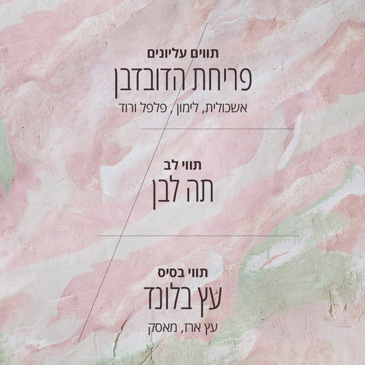 בושם או דה טואלט פריחת הדובדבן תה לבן