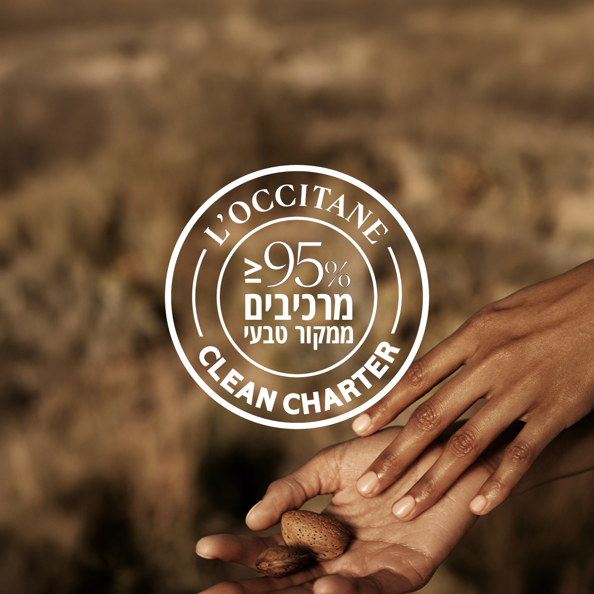 שמן גוף & שימר שקדים למראה עור זוהר