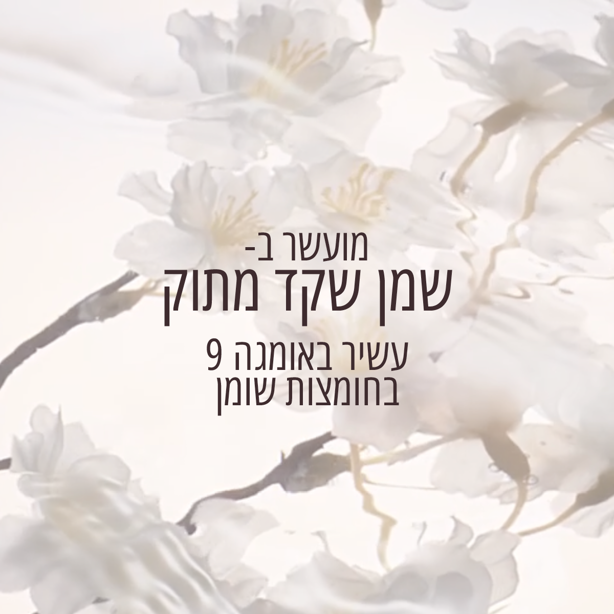 באלם שקדים לגוף