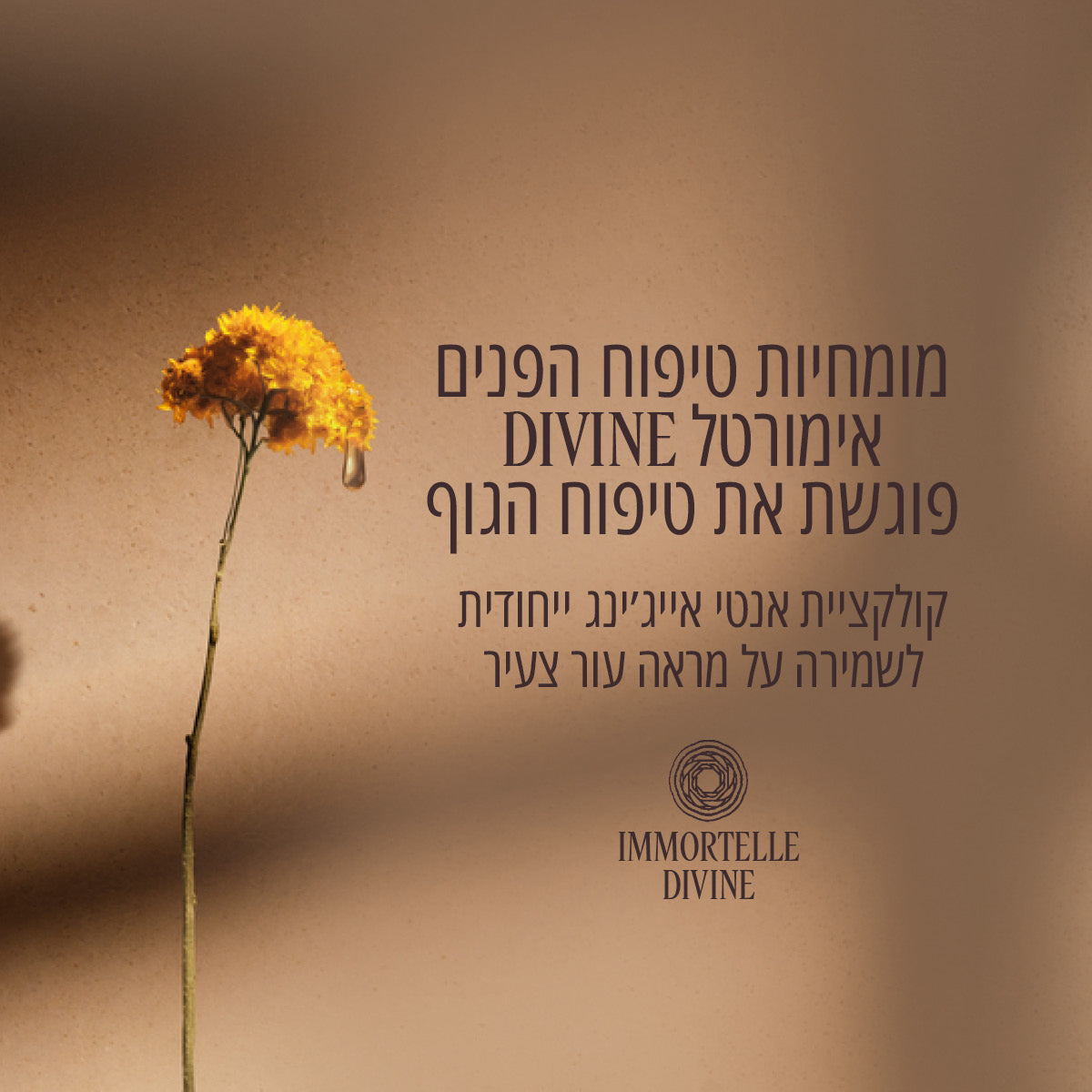 קרם סרום לידיים אנטי אייג'ינג אימורטל DIVINE