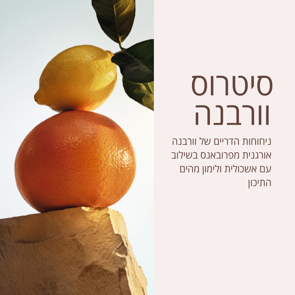 טיפוח לגבר ל'אוקסיטן