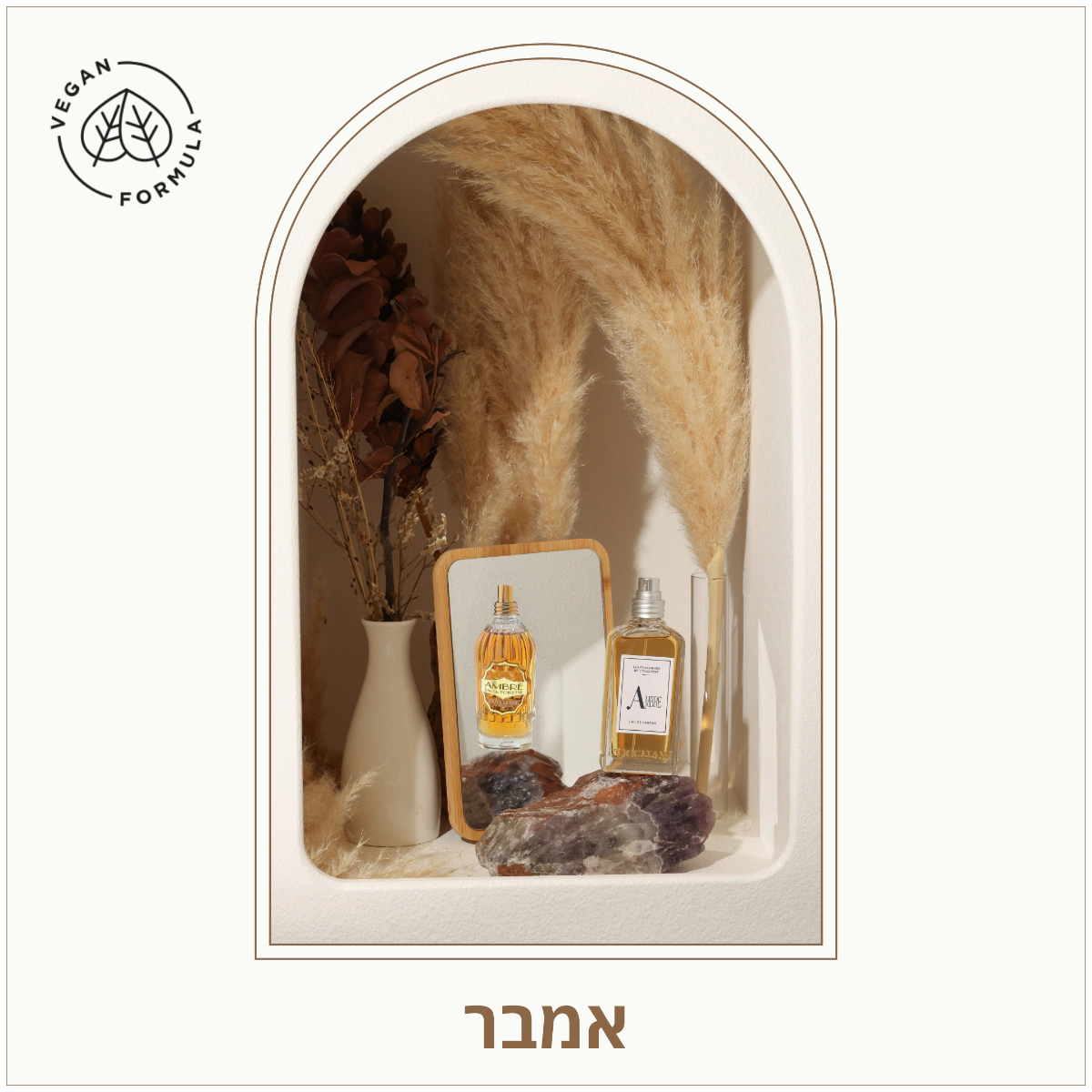מוצרי טיפוח ל'אוקסיטן