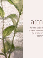 מוצרי טיפוח פנים ל'אוקסיטן