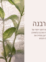 מוצרי טיפוח פנים ל'אוקסיטן