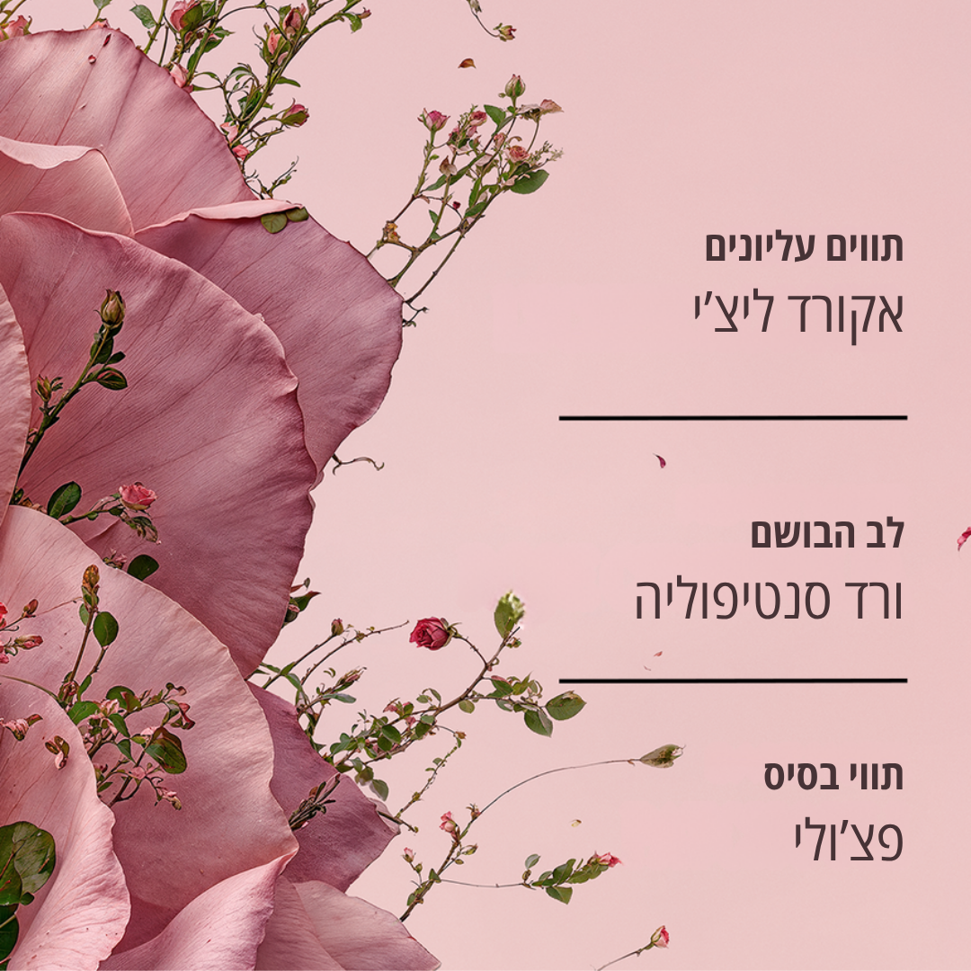 סבון סולידריות בניחוח ורדים