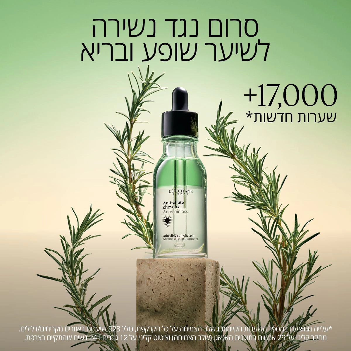 קולקציית שיער ל'אוקסיטן – שמפו, מסכה ושמן לשיער