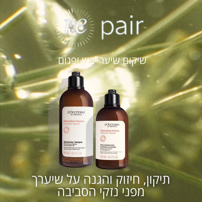 בשמי ל'אוקסיטן – ניחוחות מפרובאנס