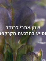 קוסמטיקה טבעית ל'אוקסיטן