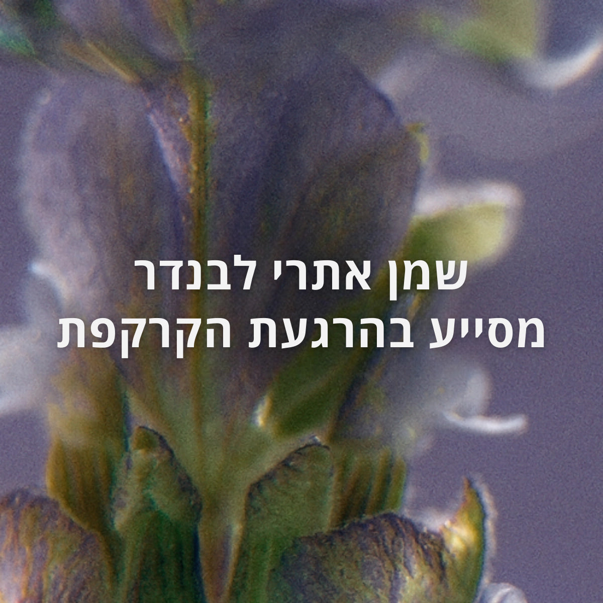 קוסמטיקה טבעית ל'אוקסיטן