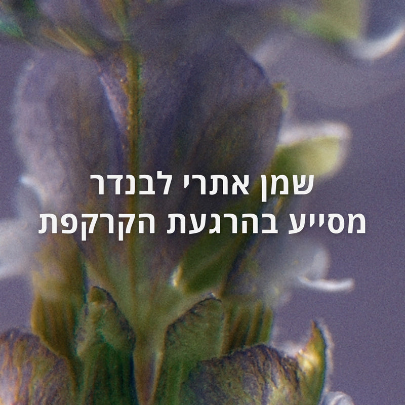 קוסמטיקה טבעית ל'אוקסיטן