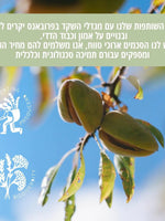 קולקציית שקד של ל'אוקסיטן – מוצרי גוף עם שמן שקדים