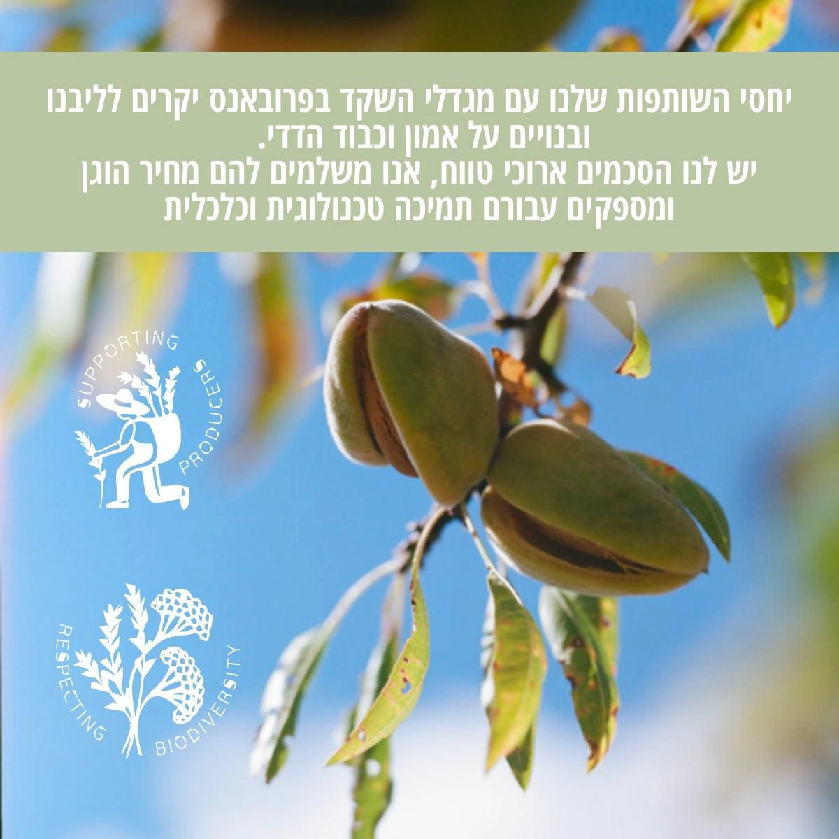 קולקציית שקד של ל'אוקסיטן – מוצרי גוף עם שמן שקדים