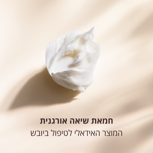 בשמי ל'אוקסיטן – ניחוחות מפרובאנס