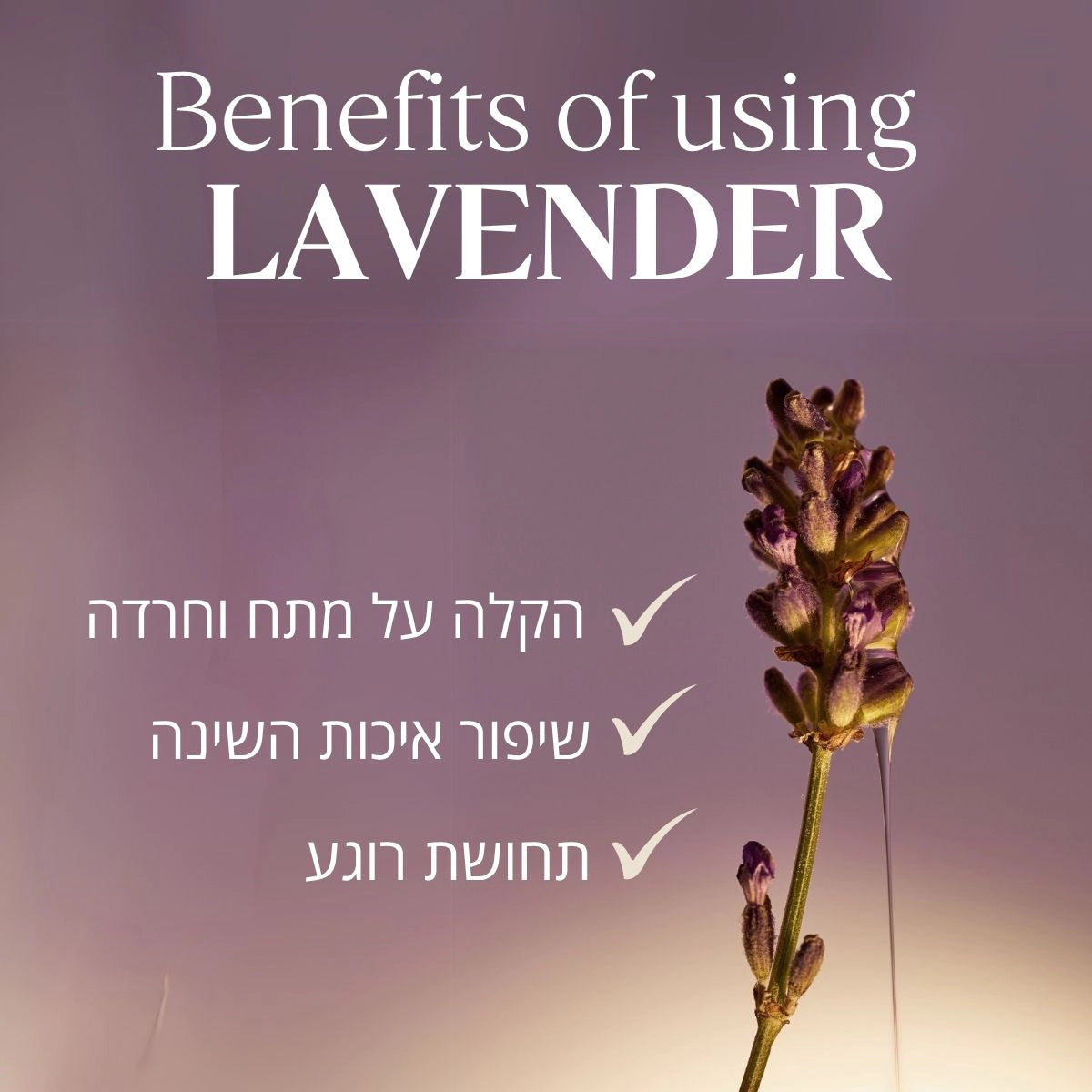 מוצרי טיפוח פנים ל'אוקסיטן