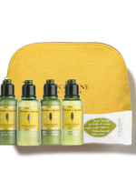 ערכת סיטרוס וורבנה לטיפוח הגוף והשיער