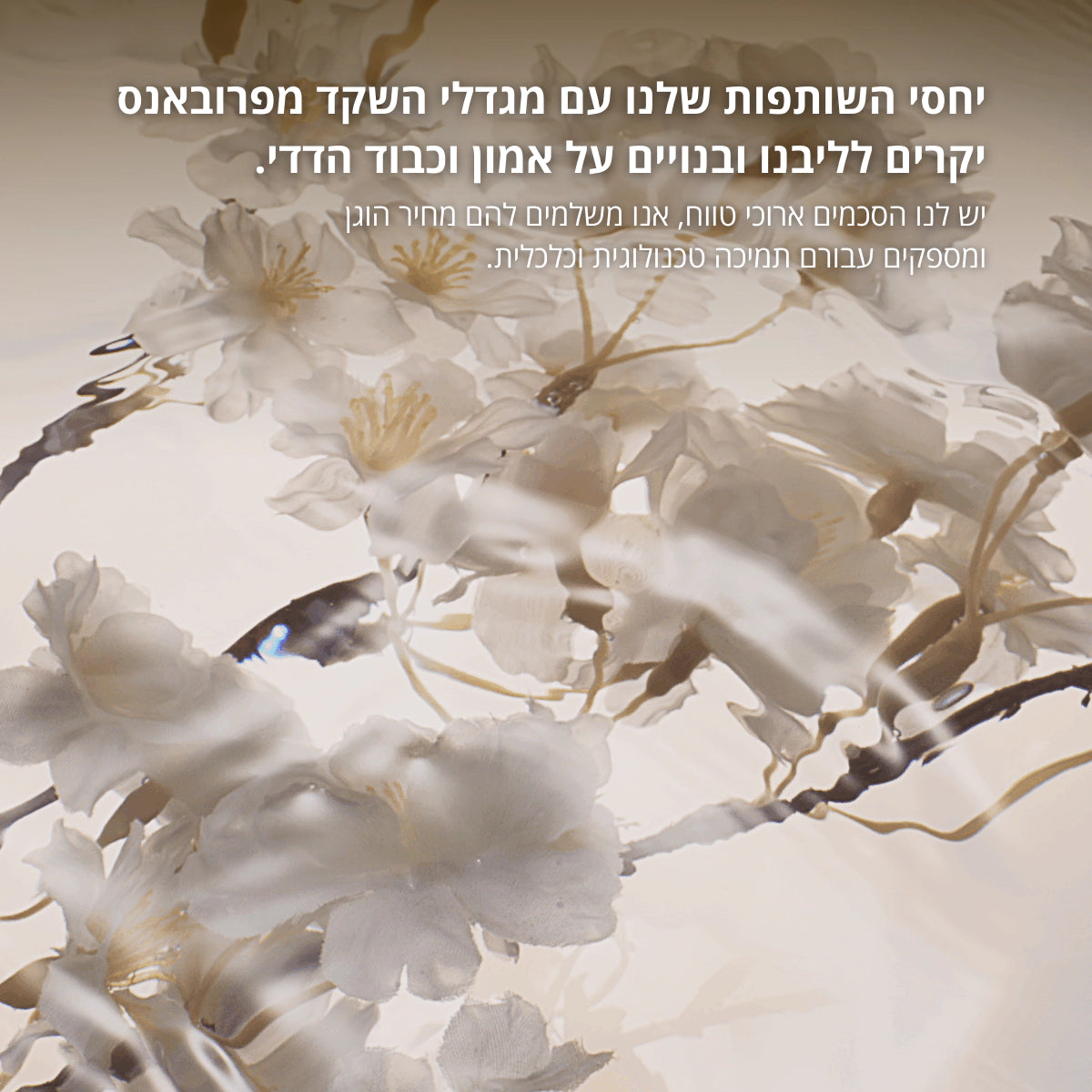 מוצרי שקדים מבית ל'אוקסיטן – טיפוח גוף ושיער